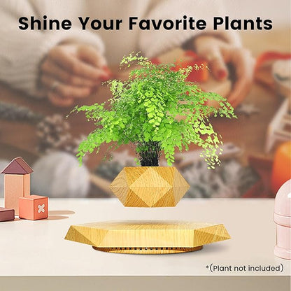 𝐕𝐞𝐥𝐨𝐮𝐫𝐚™ 𝐋𝐞𝐯𝐢𝐭𝐚𝐭𝐢𝐧𝐠 𝐊𝐢𝐧𝐠 𝐌𝐚𝐠𝐧𝐞𝐭𝐢𝐜 𝐏𝐥𝐚𝐧𝐭 𝟑𝟔𝟎° 𝐑𝐨𝐭𝐚𝐭𝐢𝐨𝐧